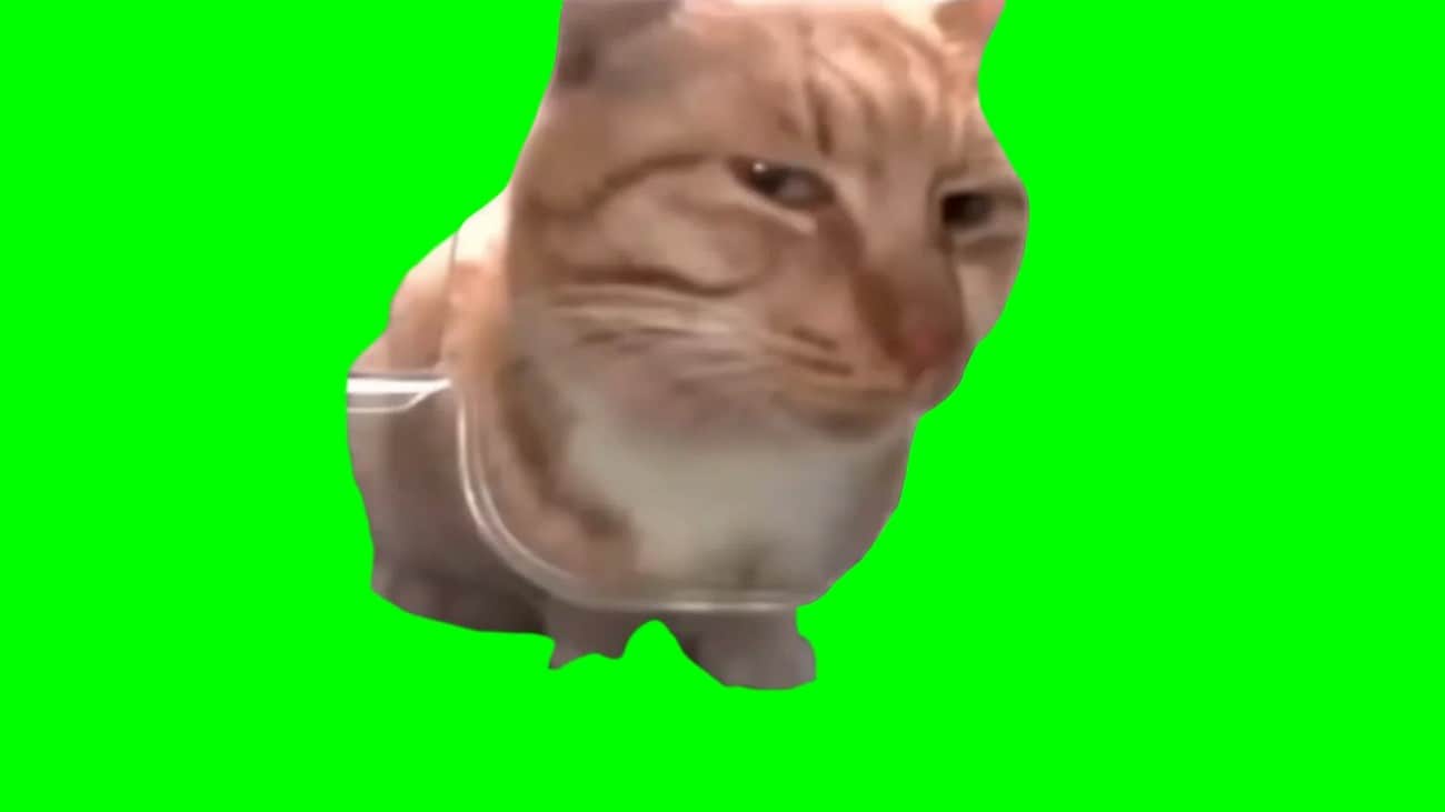 details of green screen