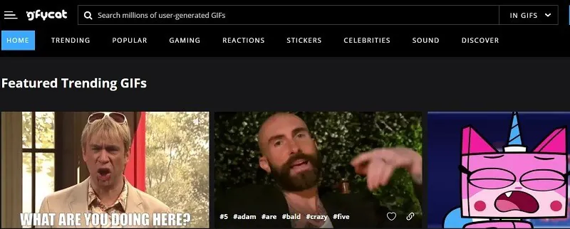 How to Download GIFs on Gfycat