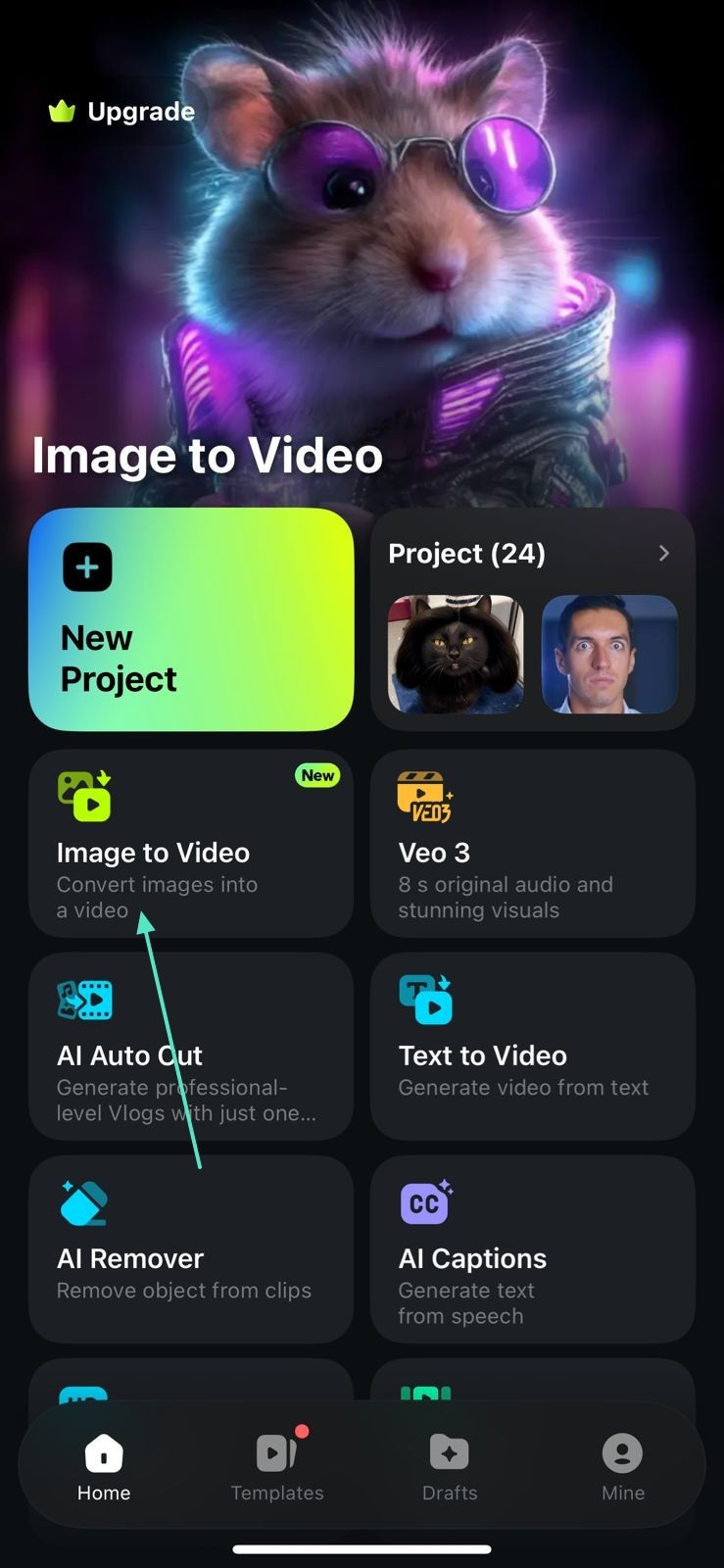 select image to video