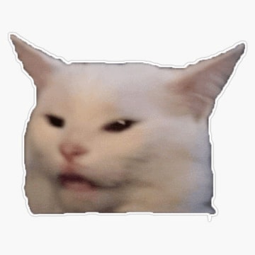 confused cat sticker meme