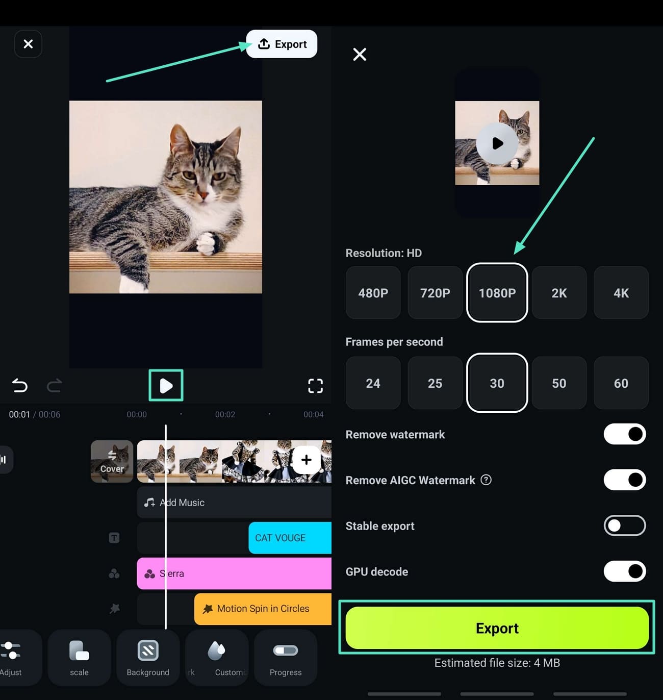 preview and export cat video