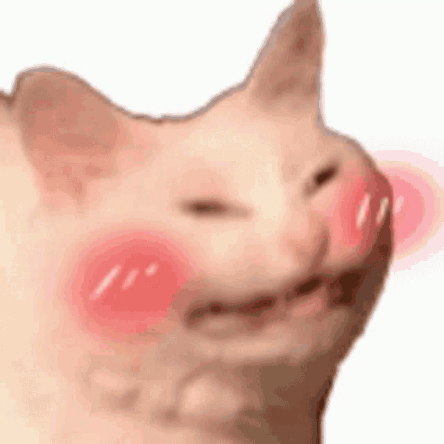 cute blushing cat sticker