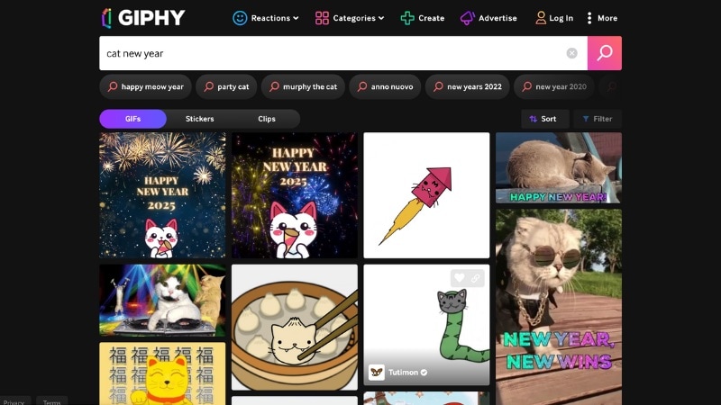 happy cat new year in giphy