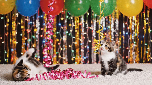 create happy new year kittens gif