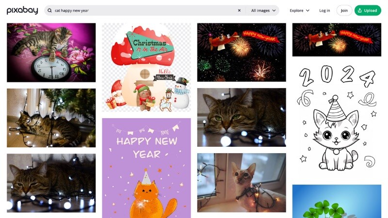 find cats new years in pixabay