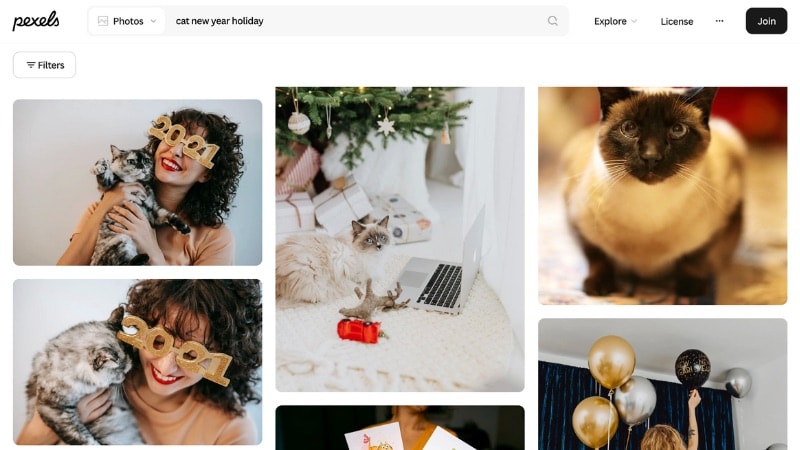 pexels happy new year cat funny assets