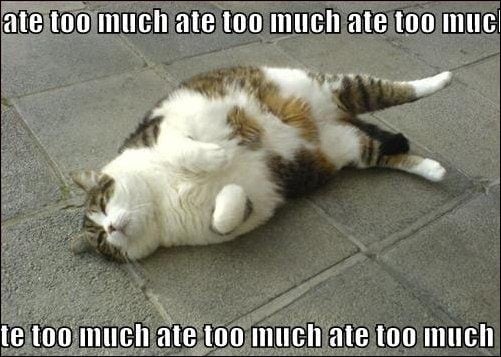food coma meme