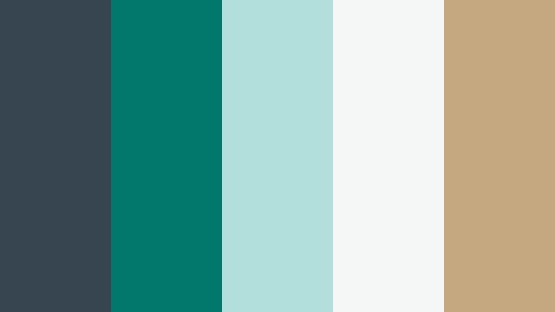 harbor ledger charcoal and teal accounting firm color color palette with hex codes