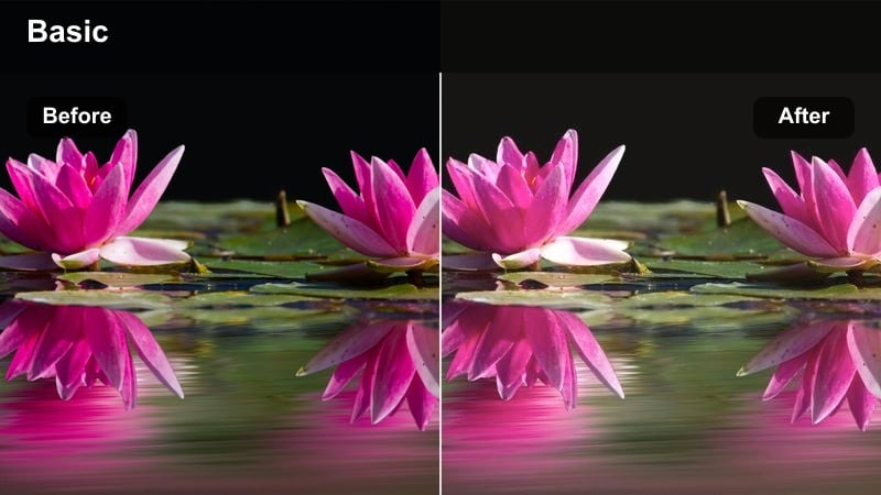 Backlit subject in a city park with soft hazy sunlight around the edges