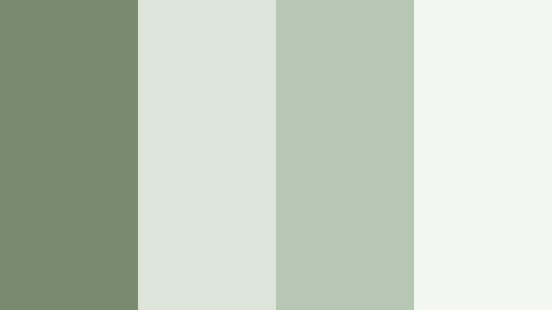 herbal studio calm sage leaf color palette with hex codes