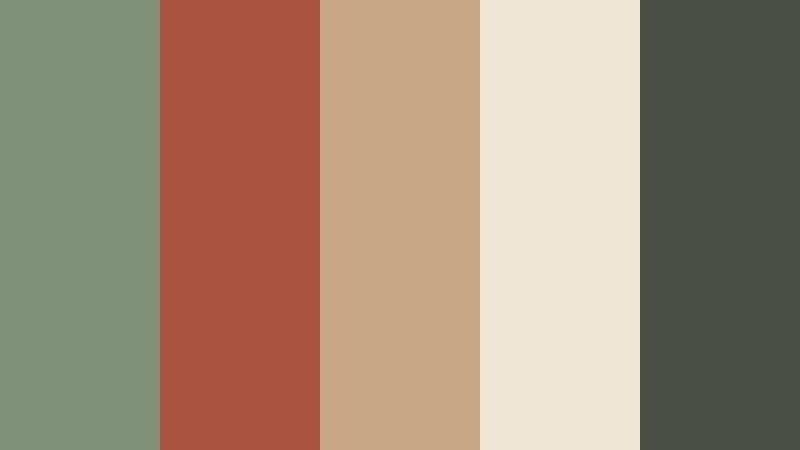 heritage clay modern sage green and terracotta home decor store color color palette with hex codes