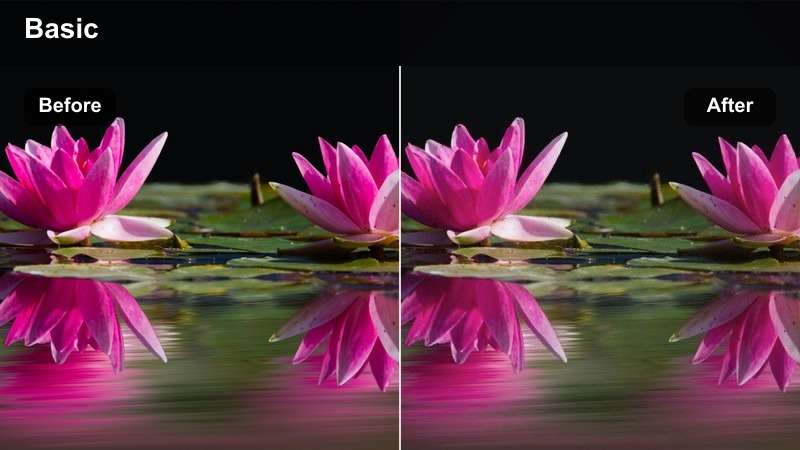 High-Key Motion filter on a bright Behance animation portfolio video
