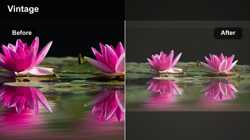 Couple reading in a cafe with warm honey toned colors