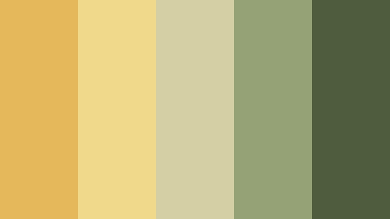 honeyed meadow light wedding video color color palette with hex codes