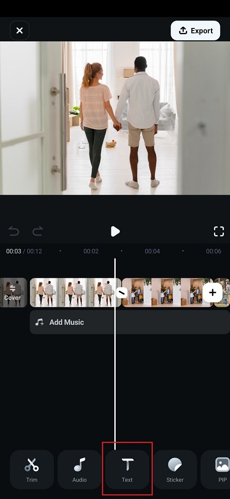 add text to video