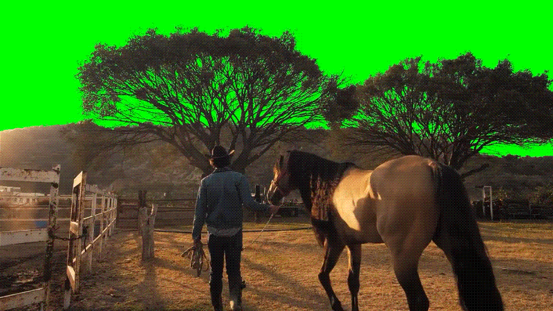 green screen special effects