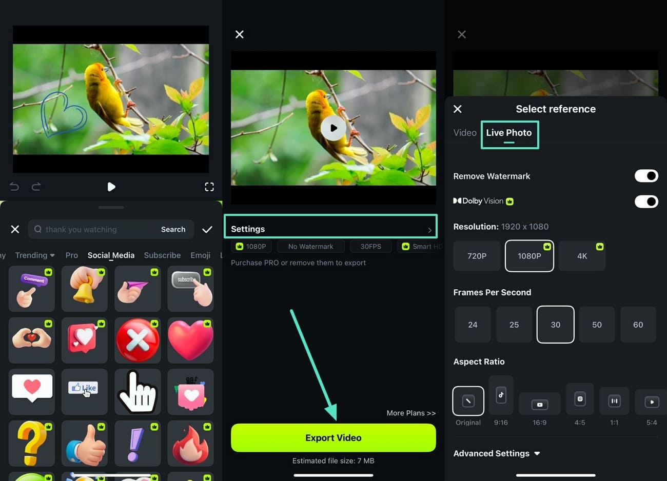 export in live photos settings