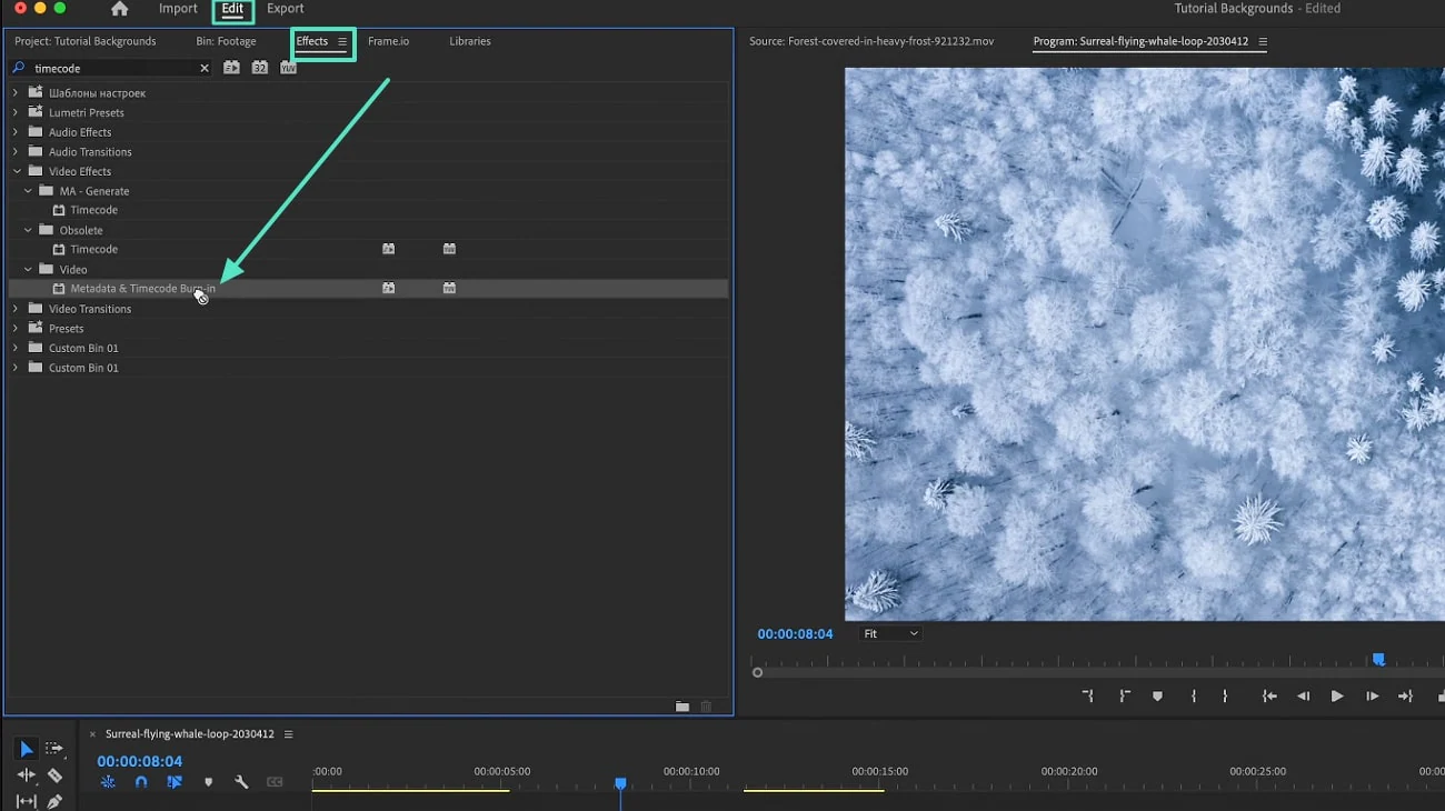 access metadata and timecode burn in option