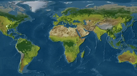 use pen tool for travel video