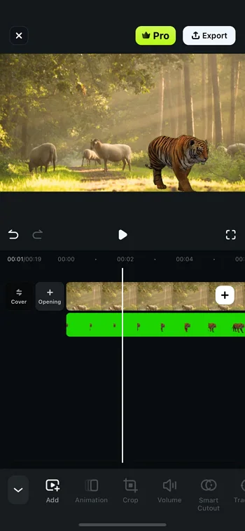 adjust frames for both videos