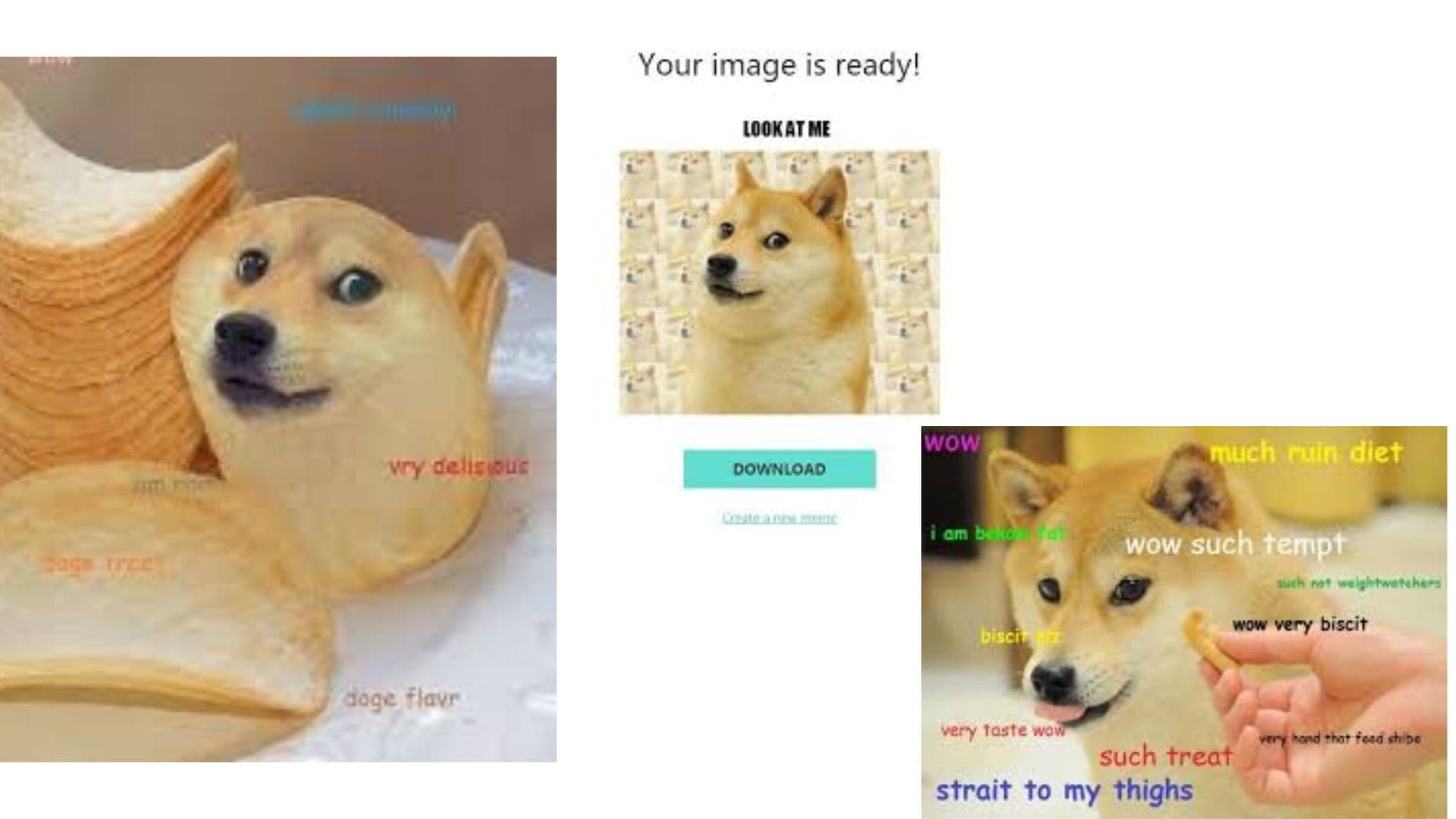 funny dog memes