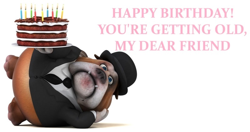 holiday & birthday cards