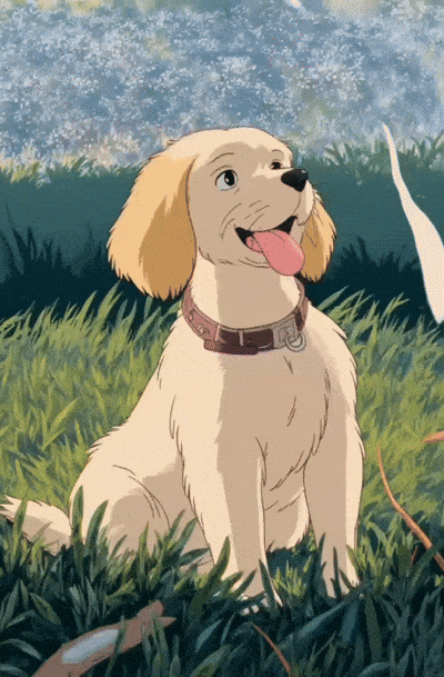 cartoonized pet