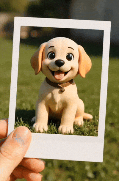 polaroid motion frames