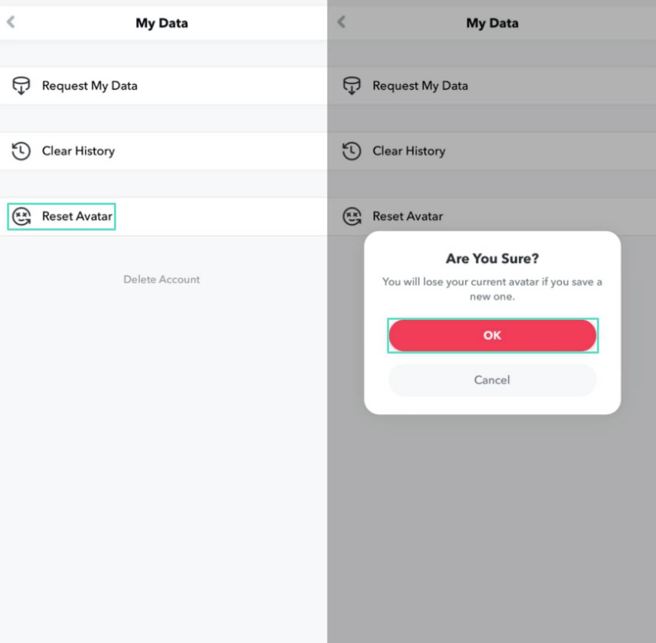 reset avatar and select ok