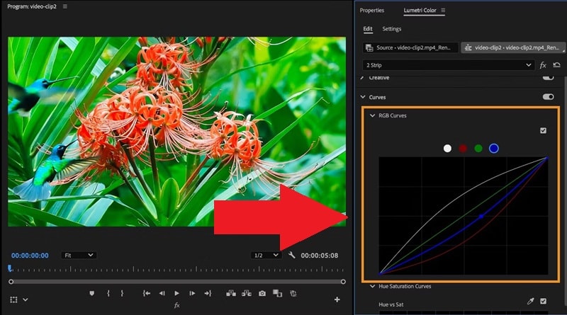 edit color in rgb curves