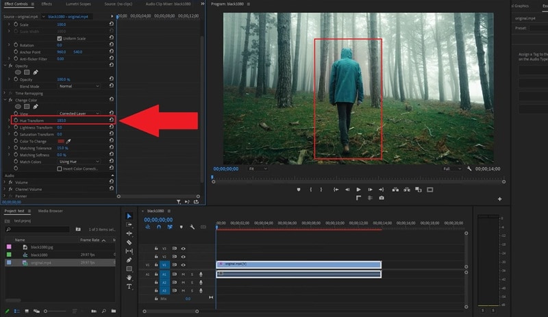 adjust the hue transform option