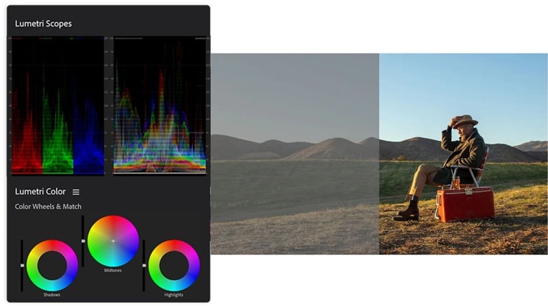 brightness control in premiere pro