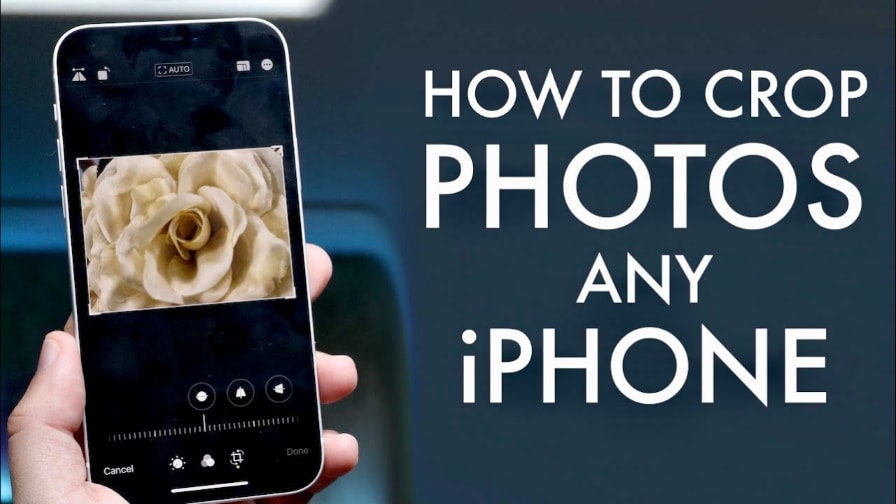 Recadrer des photos sur iPhone | Les 2 meilleures méthodes