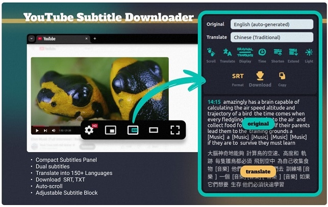 extension youtube subtitle downloader