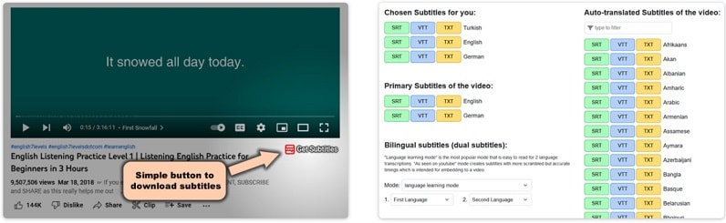 extension download youtube subtitles