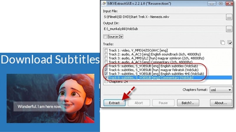 download and extract subtitles