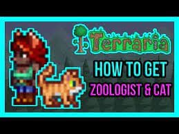 how-to-get-zoologist-npc-terraria