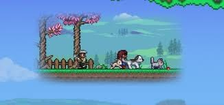 cómo obtener el ncp de la zoologa en terraria 4