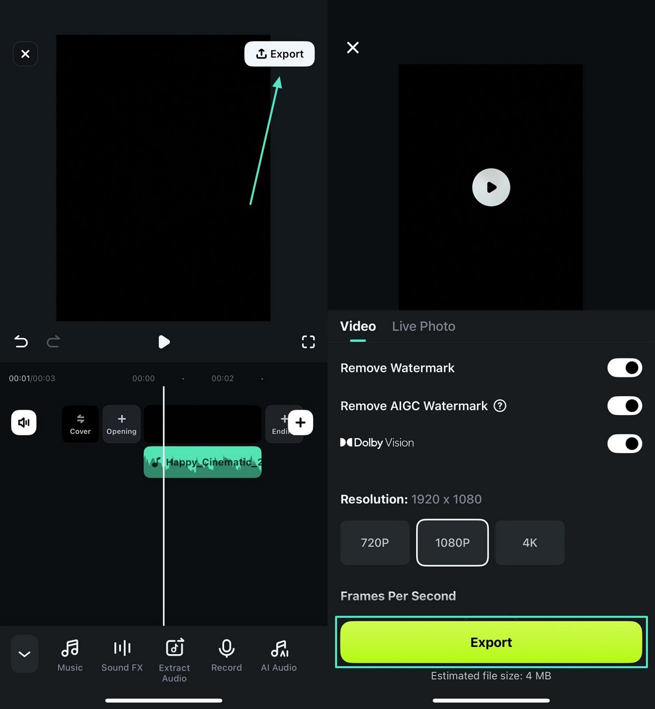 export the video file