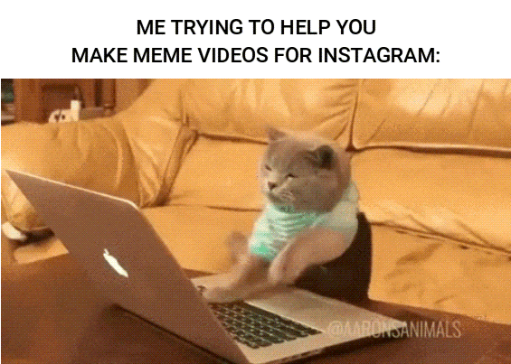 create meme videos for instagram