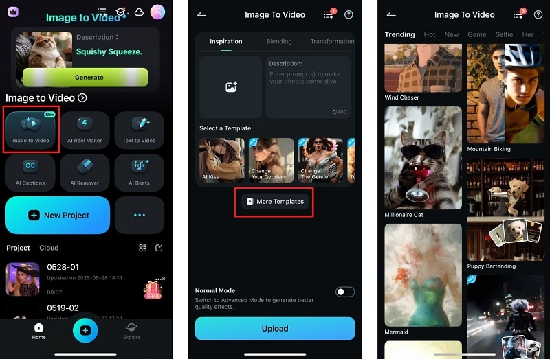 select templates in image to video