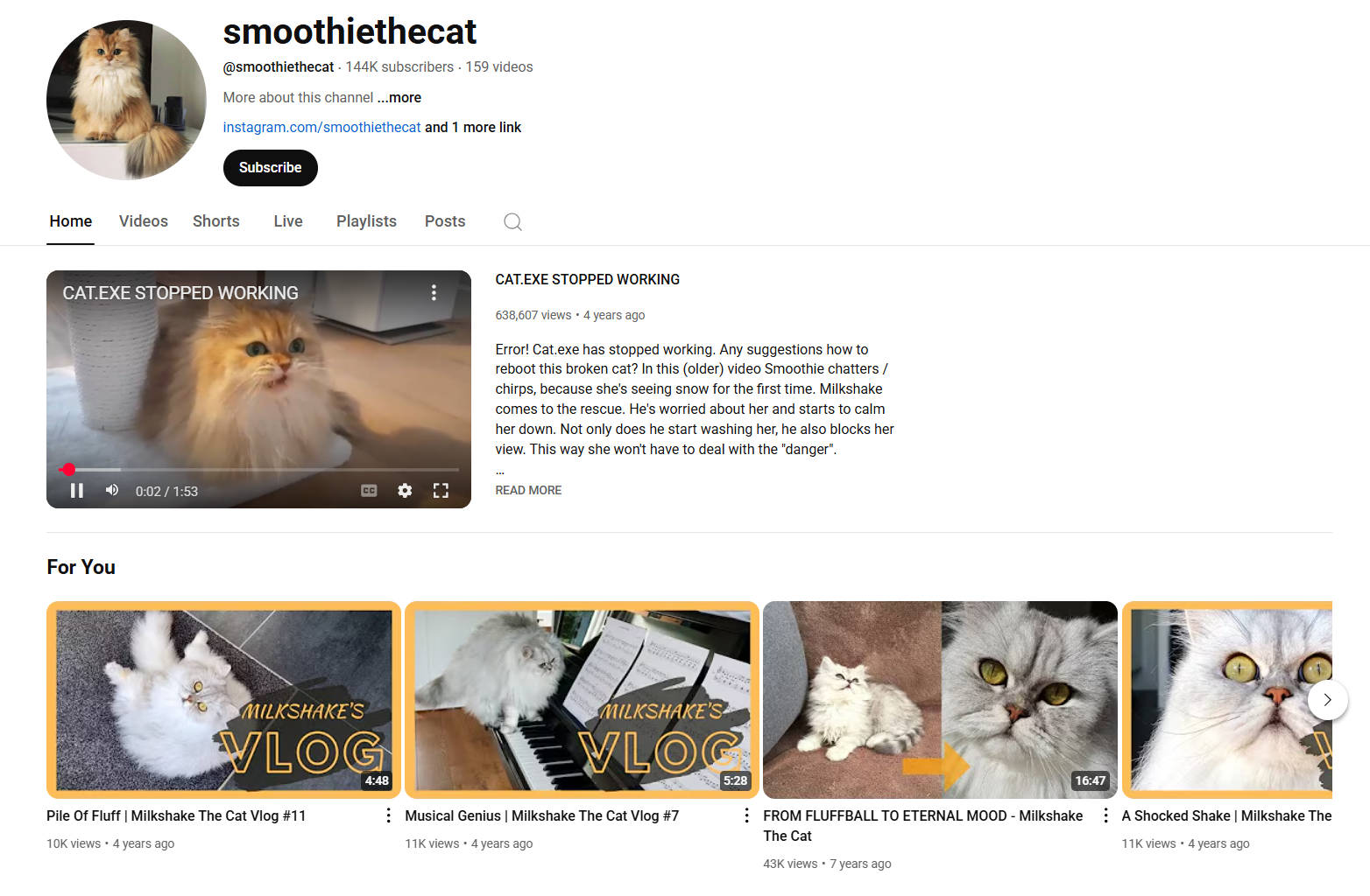 pet vlogger smoothie the cat