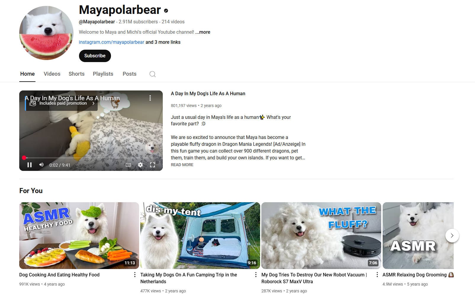 pet vlogger maya the samoyed