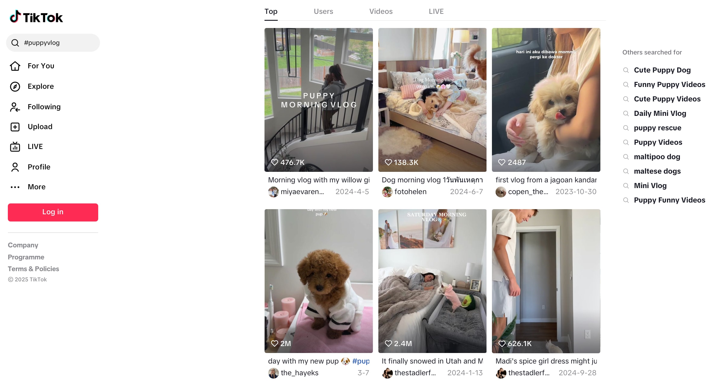 tiktok puppy vlog hastag