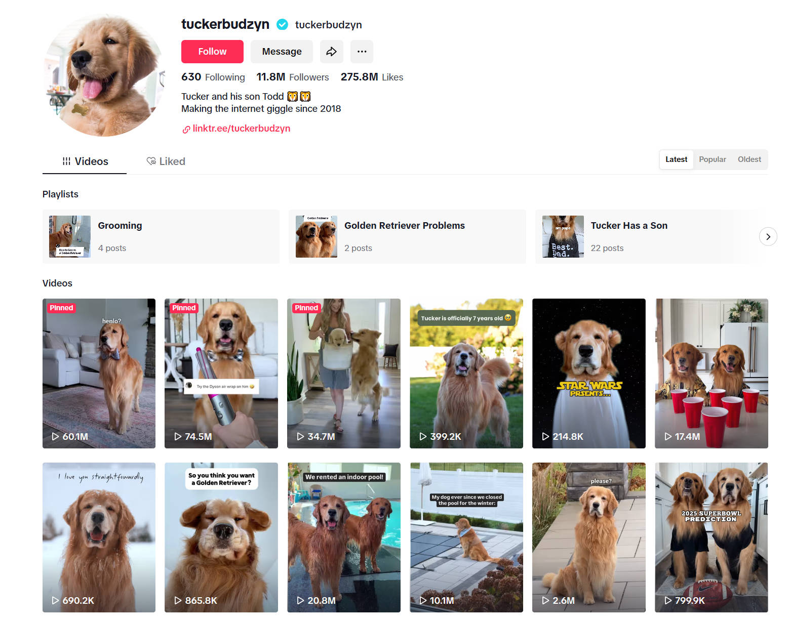 pet vlogger tucker budzyn