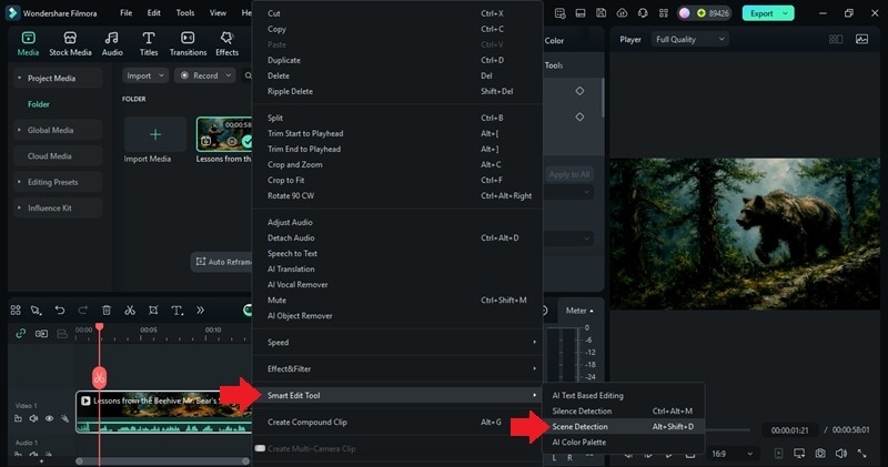 open the scene detection tool
