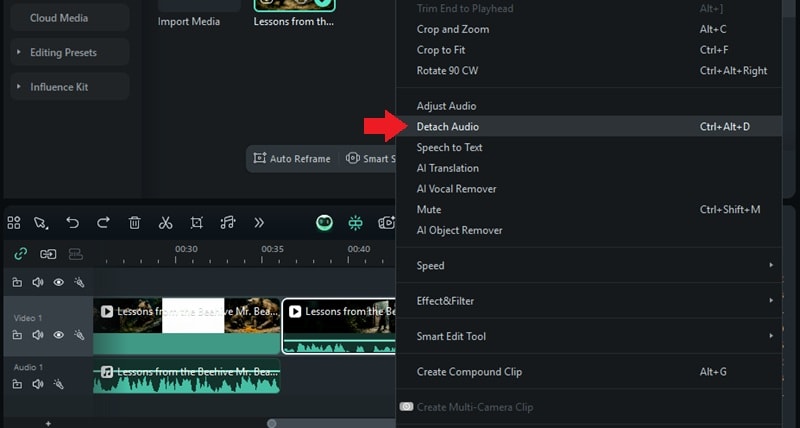 select detach audio tool