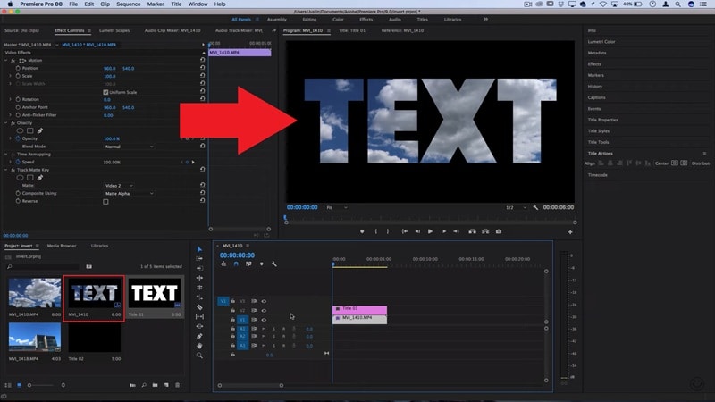 preview the text masking result