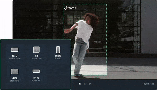 adjust aspect ratio with filmora