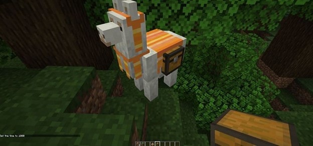 how-to-put-chests-on-tamed-llamas